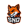 SINQU Esports