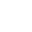 BRUTE