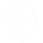 Phantoms
