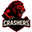 Crashers Esports