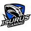 Isurus