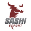 Sashi Academy
