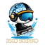 DiscoSkridsko