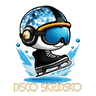 DiscoSkridsko