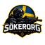 Sökerorg