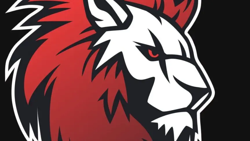 The Leo Team logo.