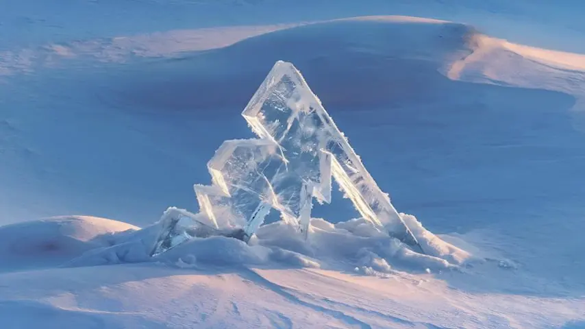 The Arctic Ace Esports logo.